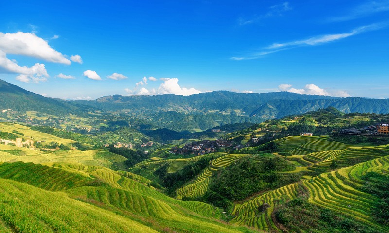 龍脊梯田