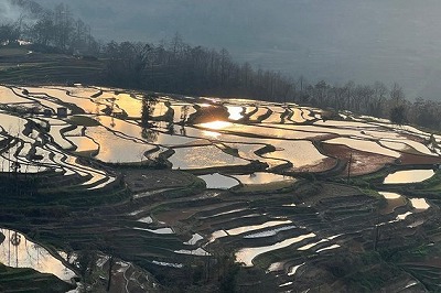 元陽棚田