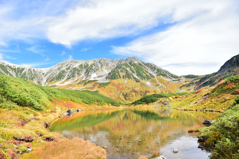 御庫裏池 (Mikurigaike)9月份