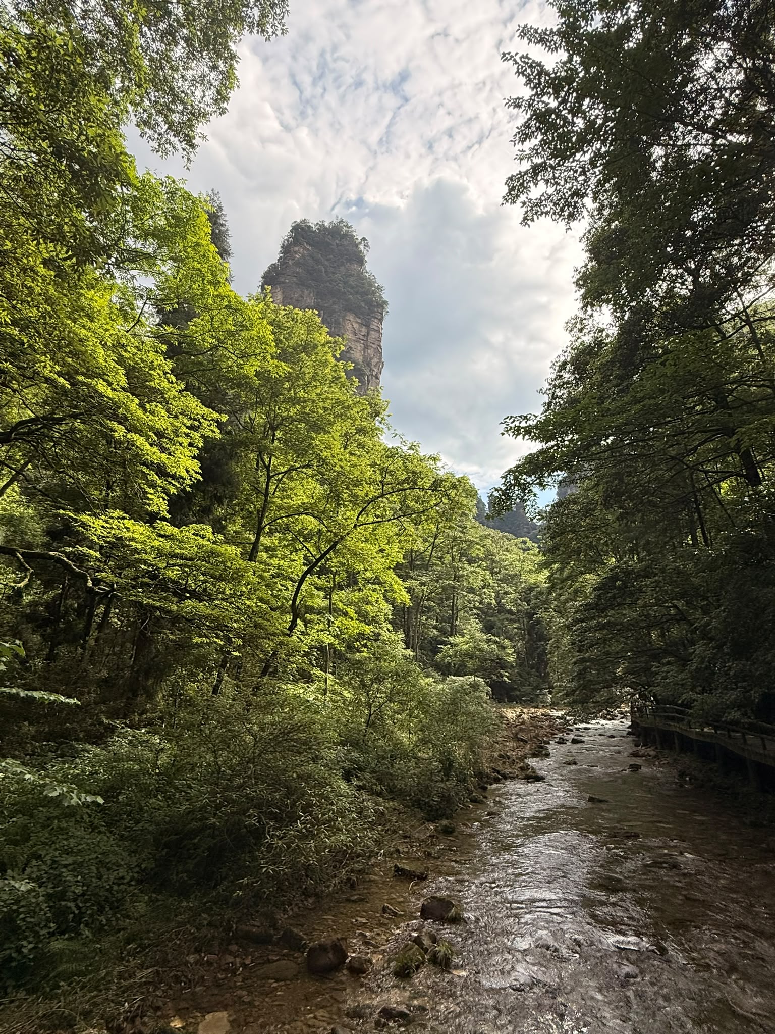 金鞭溪 - 天然酸素広場
