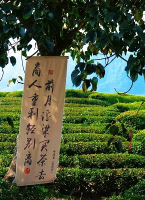 寒溪村