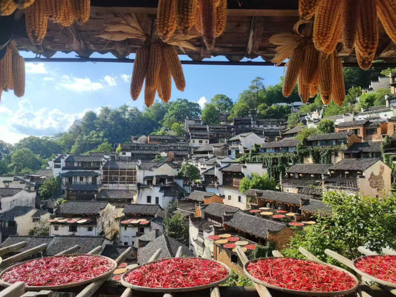婺源～篁嶺