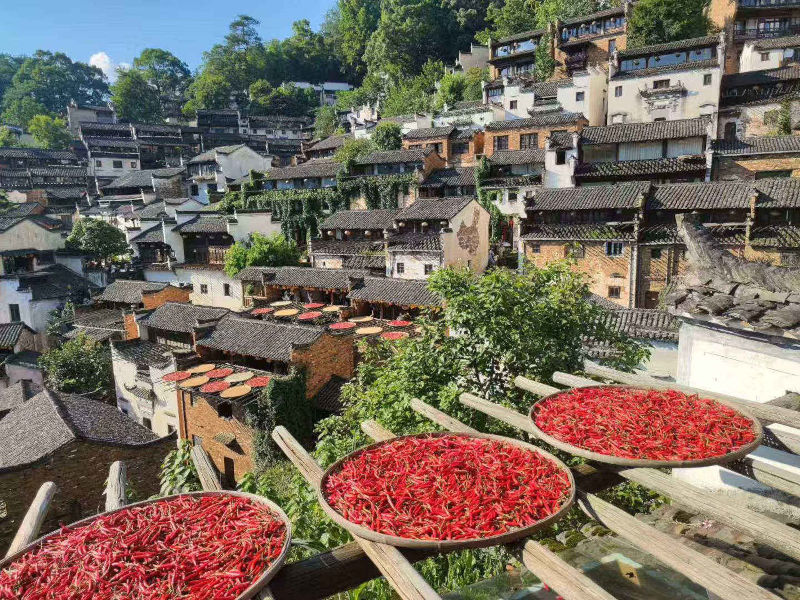 婺源～篁嶺